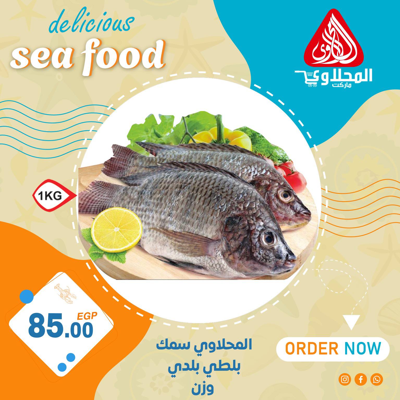 el-mahallawy offers from 2jul to 1jun 2025 عروض المحلاوي من 2 يوليو حتى 1 يونيو 2025 صفحة رقم 14